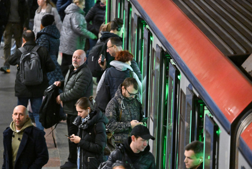 В праздники пассажиры забывали новогоднюю одежду для кошки и набор для гадания