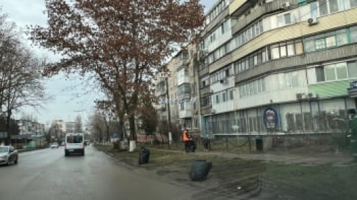 На Горького «трудовой десант» продолжает бороться с листвой на обочинах
