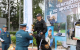 Лучший спасатель-кинолог МЧС России служит в Ногинском спасцентре