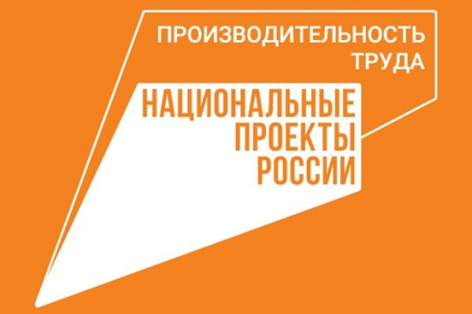 Белгородский региональный центр компетенций в сфере производительности труда оценят на федеральном уровне