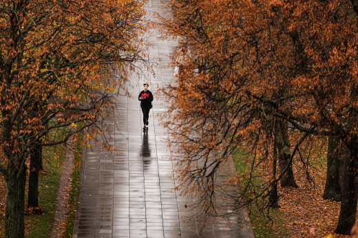 Роспотребнадзор: Грипп пришел в Москву в этом году раньше из-за теплой осени