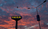 Сокращение сотрудников IKEA начали записывать на камеры
