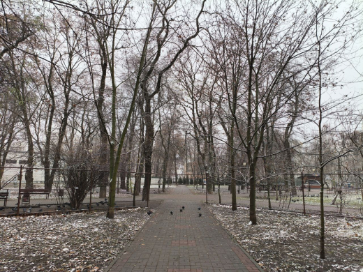 Прогноз погоды в Воронеже на четверг, 18 декабря