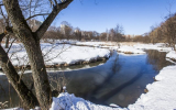 В Воронежской области установили оранжевый уровень опасности из-за высокого уровня воды