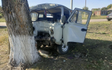Воронежец врезался на микроавтобусе в дерево и погиб