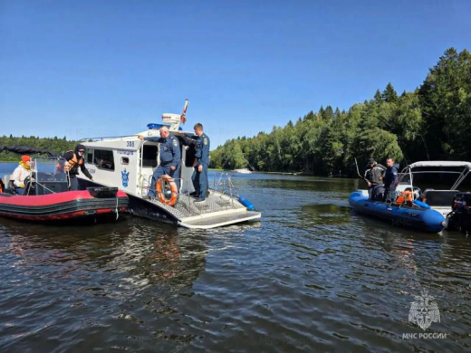 Безопасность на особом контроле: в Подмосковье проходят масштабные рейды по водоемам и лесным массивам