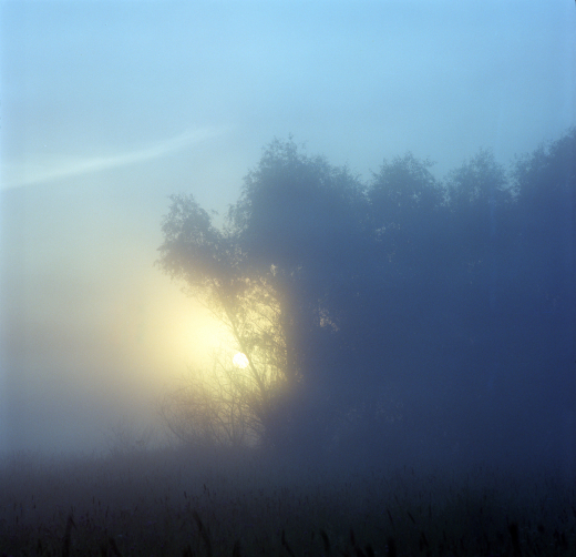 В Москве и Подмосковье объявили «желтый» уровень погодной опасности из-за тумана