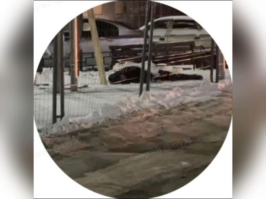 Тело подростка нашли у ТЦ в центре Воронежа