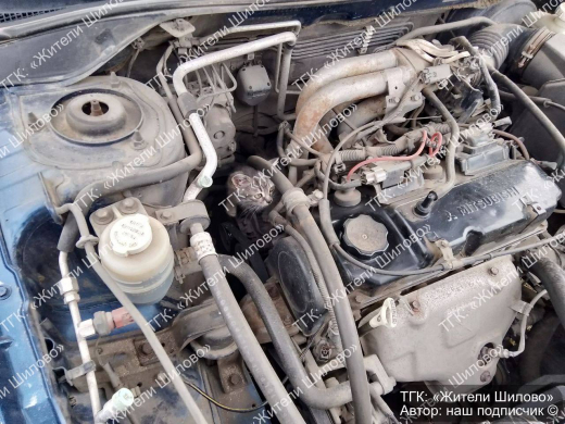 О незваных гостях в авто предупредили воронежских водителей