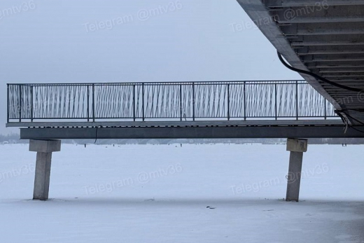 Воронежцы сообщили о разваливающейся смотровой площадке на Адмиралтейке
