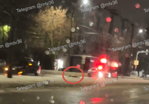 Пешехода насмерть сбили в Воронеже ночью