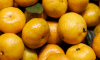 Минсельхозпрод: В Подмосковье начались новогодние поставки мандаринов