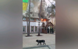 Кафе загорелось в воронежском парке «Дельфин»