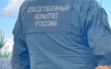 В Серпухове возбуждено уголовное дело по факту получения травм подростком при падении с лошади на конной прогулке