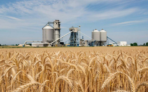 К банкротящемуся воронежскому элеватору «Коммодити Колодезное» предъявили требования на 1 млрд рублей