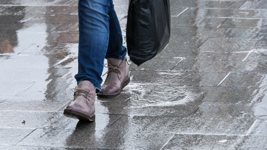 Синоптик Вильфанд: В начале декабря температура в Москве будет как в ноябре