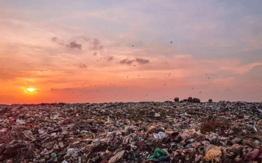 Росприроднадзор требует с администрации Новоусманского района более 16 млн рублей за нелегальную свалку