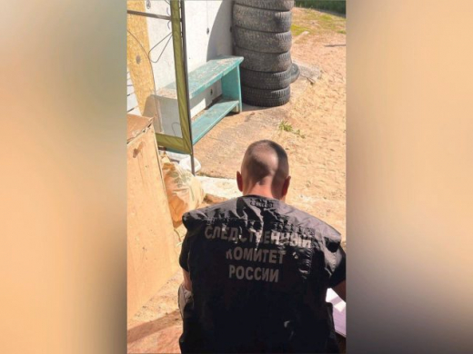 Один погиб и трое ранены при взрыве боеприпаса в Воронежской области
