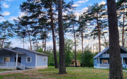 Турбазу «Елки» продают под Воронежем за 180 млн рублей