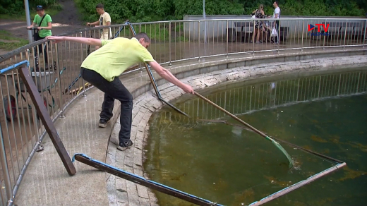 Озеро в Центральном парке Воронежа чистят дважды в день