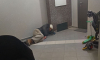 На ночующего в подъезде бездомного ополчились жильцы многоэтажного дома в Воронеже
