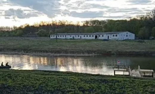 Воронежцы могут купить крупную ферму по цене однушки