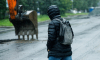 Синоптик Цыганков: К 27 июля в Москву придет похолодание