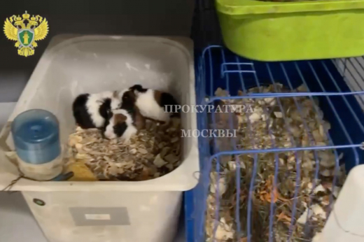 Прокуратура выявила нарушения в контактном зоопарке на западе Москвы