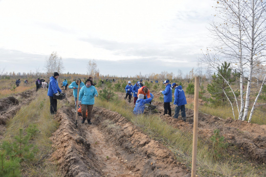 В Воронежской области проходит акция «Сохраним лес»