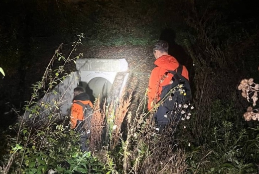 Семь пропавших воронежцев нашли мёртвыми в октябре