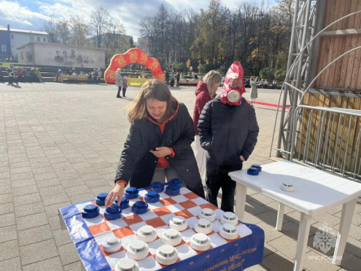 В Зарайске сотрудники МЧС России провели тематическую площадку на фестивале «Зарайчаночка»
