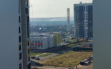 Штормовое предупреждение из-за угрозы пожаров: на окраинах Воронежа горит лес