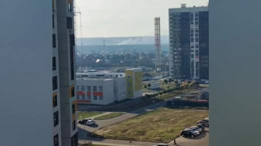 Штормовое предупреждение из-за угрозы пожаров: на окраинах Воронежа горит лес