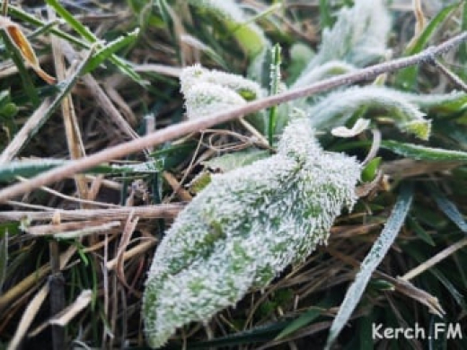 В степных и предгорных районах Крыма ожидают заморозки