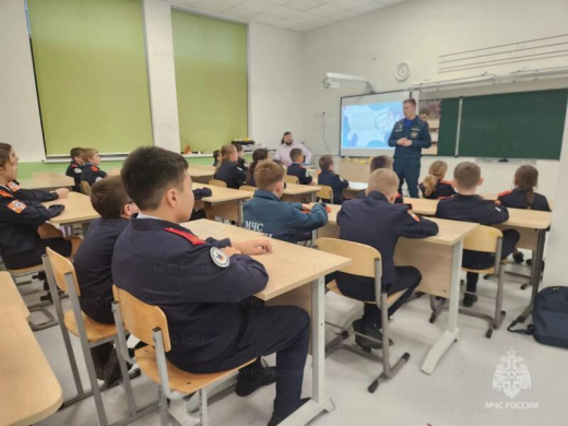 В Наро-Фоминске сотрудники МЧС провели урок пожарной безопасности для кадетов