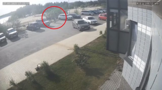 СК заинтересовался избиением ребёнка в Воронеже