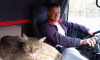 Потерявшегося в поезде кота Федоса из Москвы нашли спустя шесть дней на Дальнем Востоке