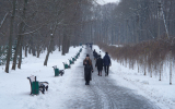 Гидрометцентр предупредил москвичей о гололедице и снеге