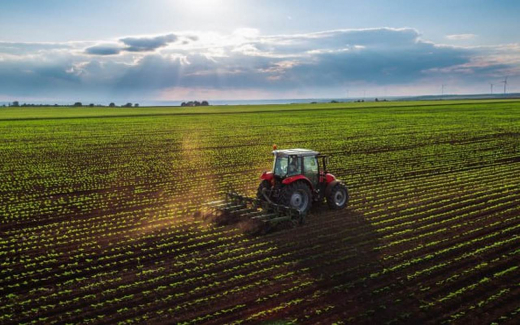 Более 370 млн рублей планируется направить в Белгородской области на поддержку субъектов МСП в агросекторе