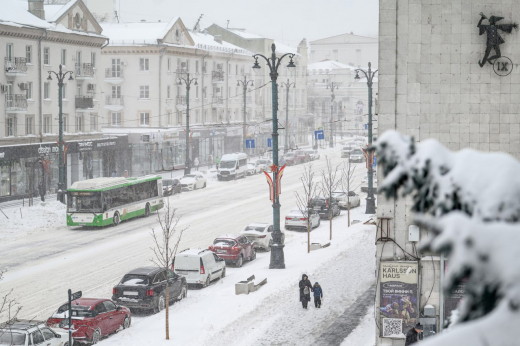 Комбинаты благоустройства и управляющие компании расчищают Воронеж после мощного снегопада