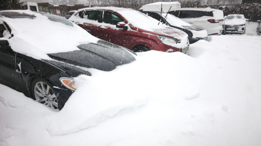 Синоптики подсчитали высоту сугробов в Воронеже