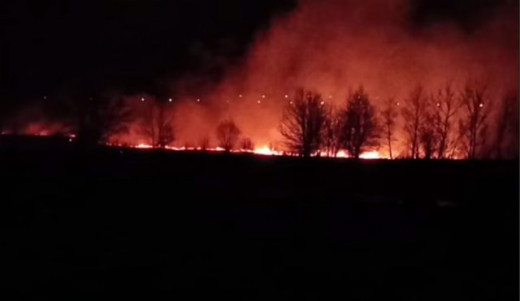 Очевидцы сообщают о крупных природных пожарах в Воронежской области