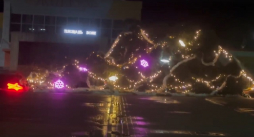 Ураган повалил городскую ёлку в Воронежской области