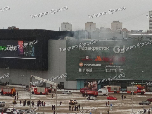 В Воронеже эвакуировали посетителей ТРК «Арена»: начался пожар