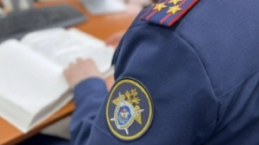 Следователями СК возбуждено уголовное дело по сообщению в соцмедиа о неправомерных действиях в отношении детей в Железнодорожном районе города Воронежа