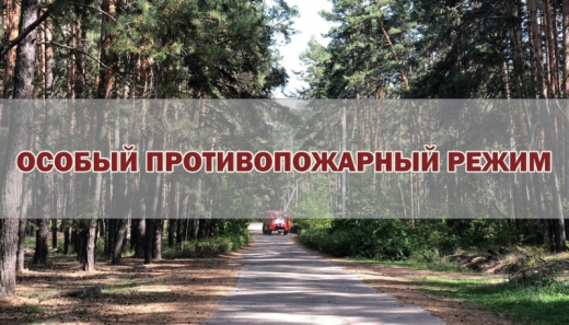 На территории Воронежской области отменен особый противопожарный режим