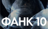 Международный Фестиваль актуального научного кино ФАНК отметит 10 лет и представит 5 премьер