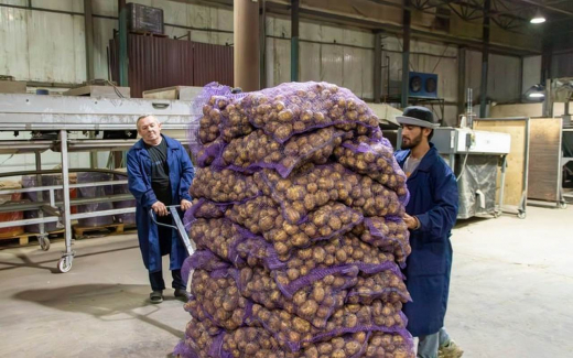 Агрегатор для поставок фермерской продукции в магазины сети X5 Group заработал в Воронежской области