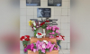 В школе в Воронежской области открыли мемориальную доску в честь выпускника, погибшего в СВО