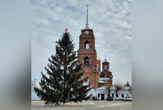 Поваленную ураганом ёлку в воронежском райцентре вернули на место